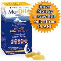 MorDHA IQ Plan - 12 Month Service